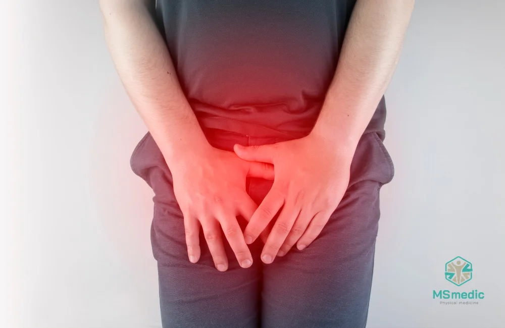 ขาหนีบคือตรงไหน